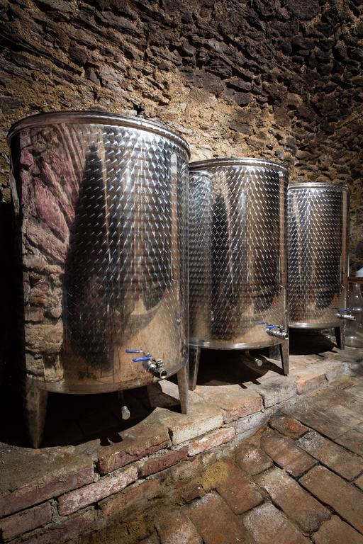 Nad Vinnym Sklipkem Znojmo Exteriér fotografie